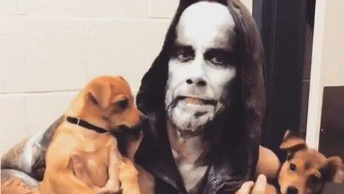 nergal_hunde