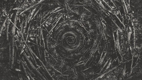 The Contortionist CLAIRVOYANT