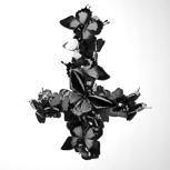 Monarch NEVER FOREVER