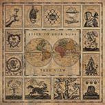 Platz 7: Stick To Your Guns TRUE VIEW