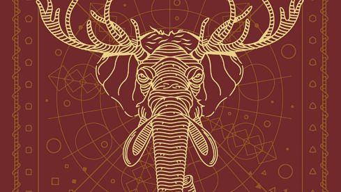 Toothgrinder PHANTOM AMOUR