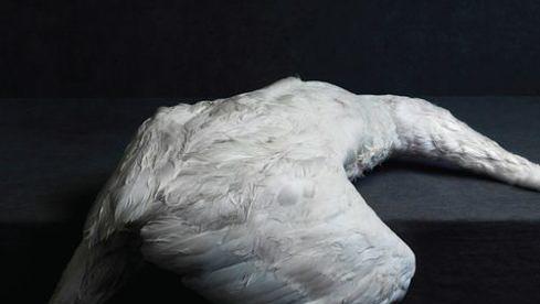 Platz 6: Amenra MASS VI // 28 Punkte