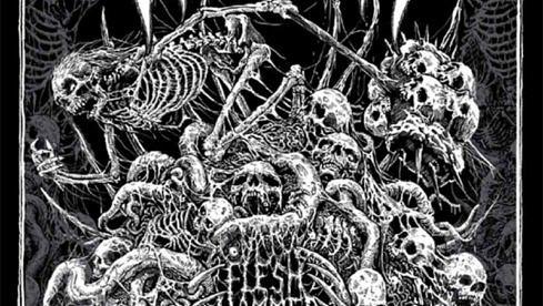 Aufsteiger: Endseeker