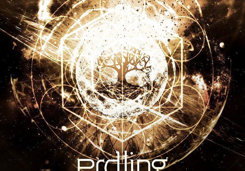 Platz 2: Erdling SUPERNOVA ø 2,46