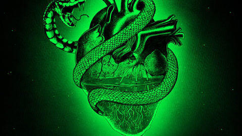 Start A Revolution SURVIVORS