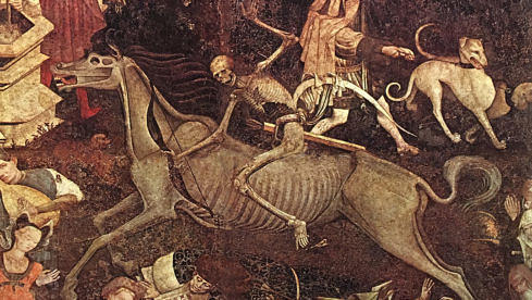 Abramis Brama TUSEN ÅR