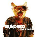 Skindred BIG TINGS