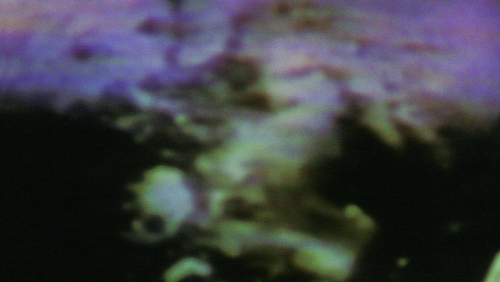 Ministry – THE LAND OF RAPE AND HONEY