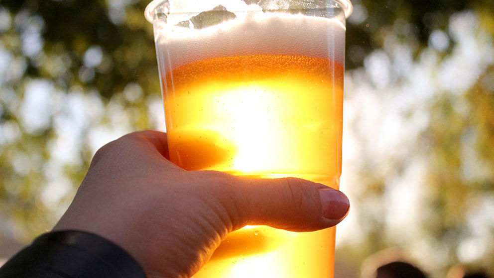 Publikum auf dem Punk In Drublic Festival 2018 Berlin