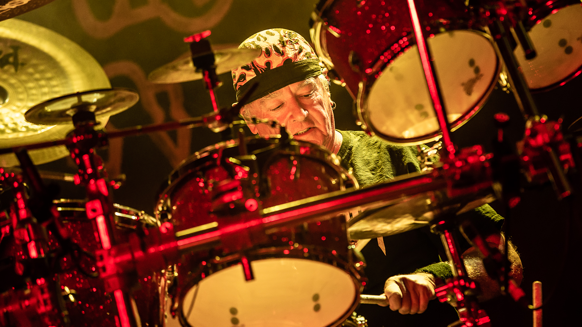 Saxon Hund biss Schlagzeuger die Nase ab