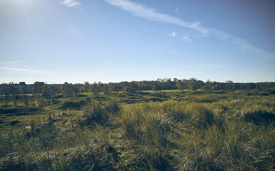 METAL HAMMER PARADISE 2018