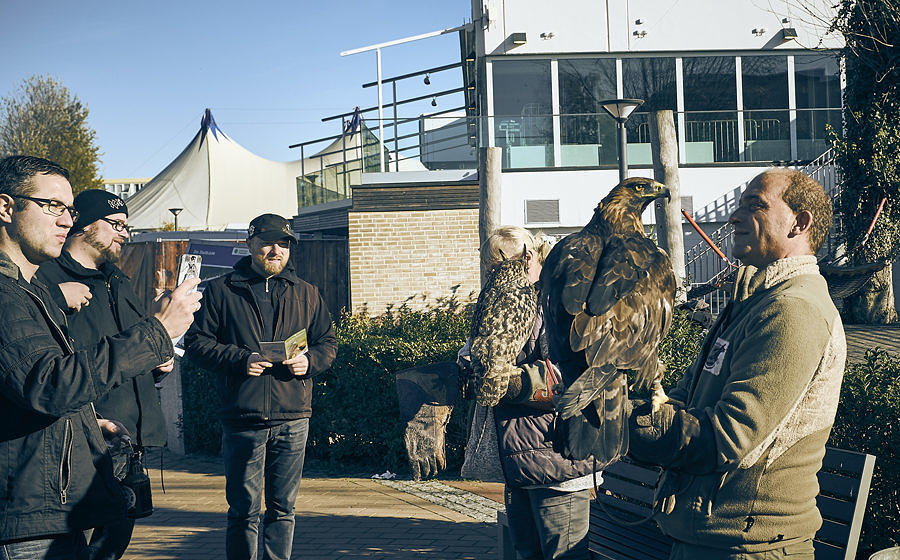 METAL HAMMER PARADISE 2018