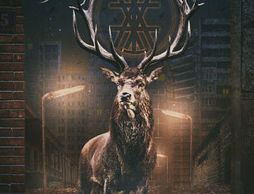 In The Woods... CEASE THE DAY