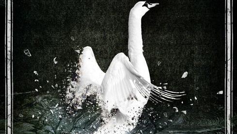 Hate Squad REBORN FROM ASHES