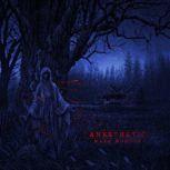 Mark Morton ANESTHETIC