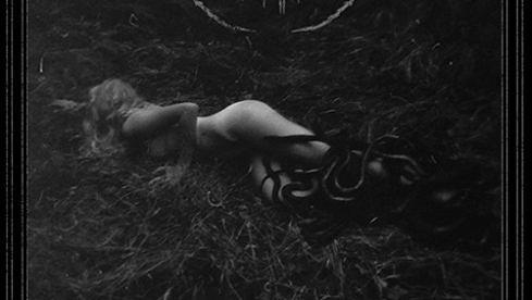 Antropomorphia MERCILESS SAVAGERY