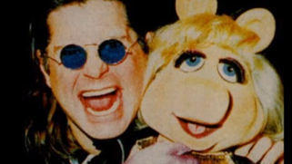 Ozzy-Piggy