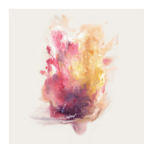 Big | Brave A GAZE AMONG THEM