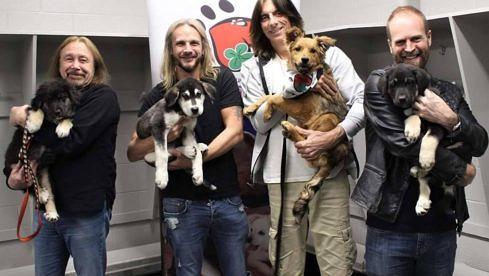 Judas-Priest-Puppies