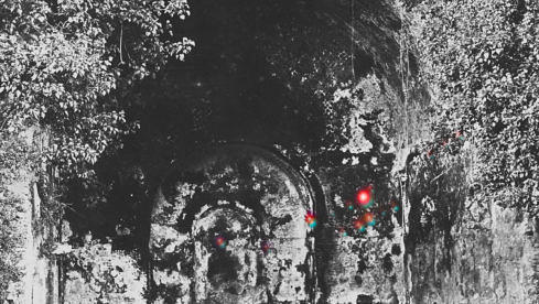 Yellow Eyes RARE FIELD CEILING