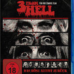 3-From-Hell_BluRay_2D-2110