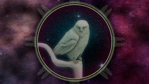 Nightwish DECADES: LIVE IN BUENOS AIRES