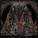 Svarttjern SHAME IS JUST A WORD