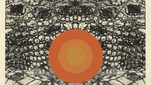 The Alligator Wine DEMONS OF THE MIND