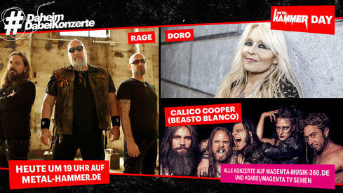 mh-day-daheimdabeikonzerte_beitragsbild