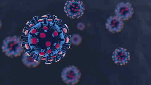 Coronavirus