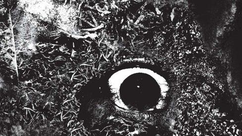 Primitive Man IMMERSION