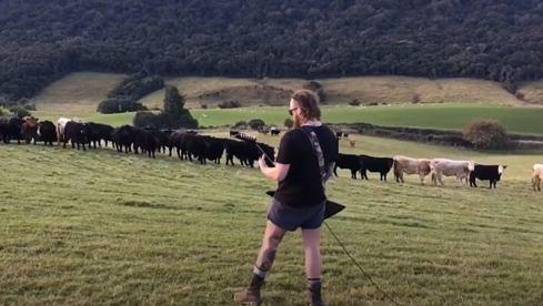 Die Kühe auf der Weide goutieren durchaus die düstere Riff-Kunst von Tom Latta