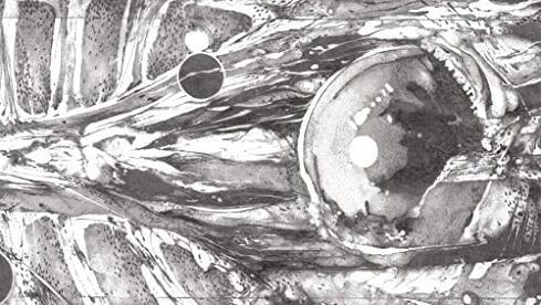 Autarkh FORM IN MOTION