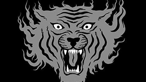 The Flaming Sideburns SILVER FLAMES