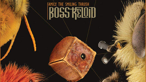 Boss Keloid FAMILY THE SMILING THRUSH