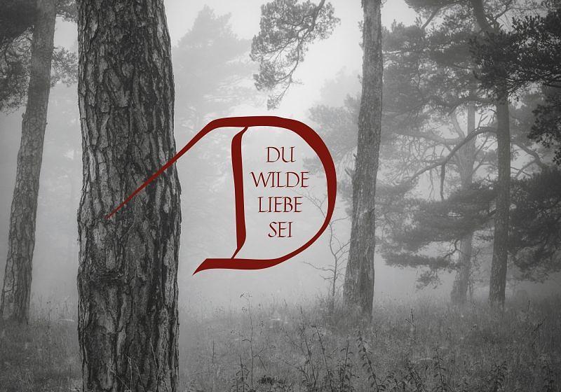 Dornenreich DU WILDE LIEBE SEI