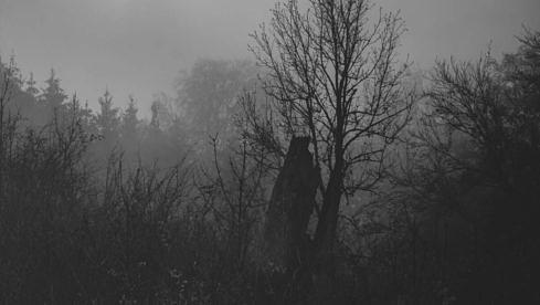 Eisregen/Goatfuneral BITTERBÖSE