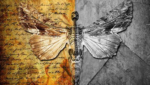 Social Disorder LOVE 2 BE HATED