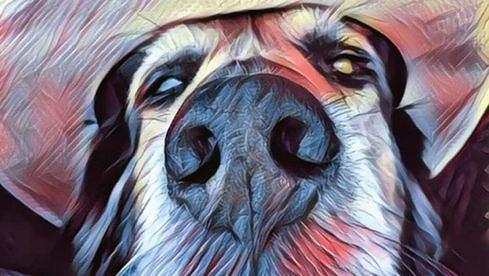 Grinder Blues EL DOS