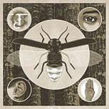 Jerry Cantrell BRIGHTEN