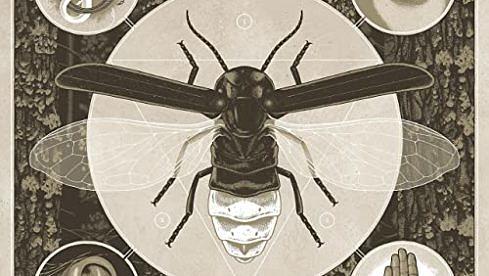 Jerry Cantrell BRIGHTEN