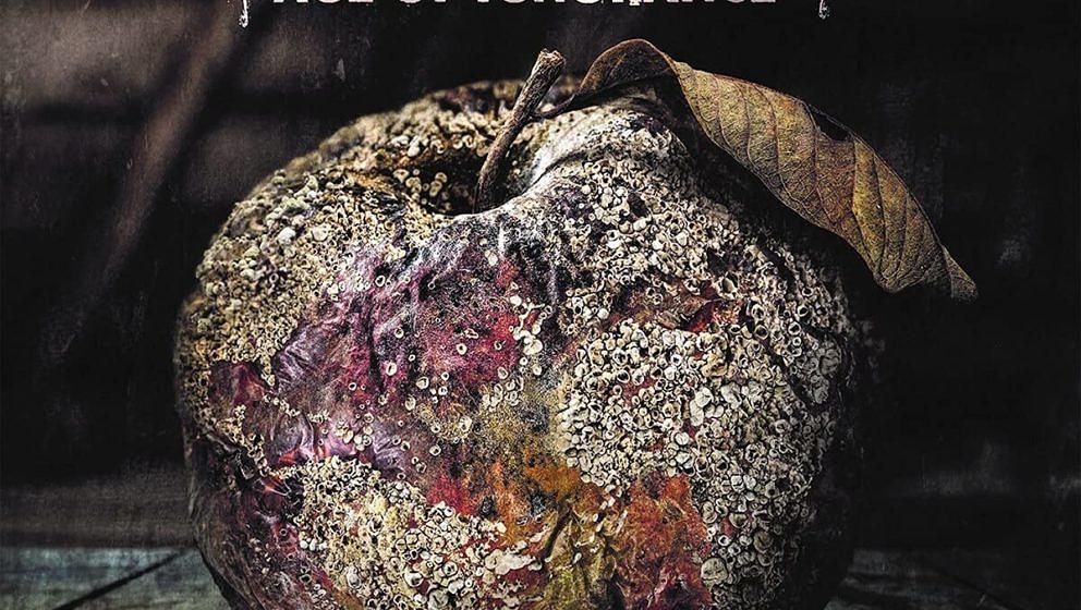 Dieversity AGE OF IGNORANCE