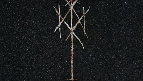 Wiegedood THERE'S ALWAYS BLOOD AT THE END OF THE ROAD