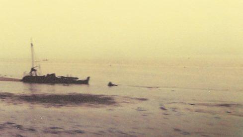 40 Watt Sun PERFECT LIGHT