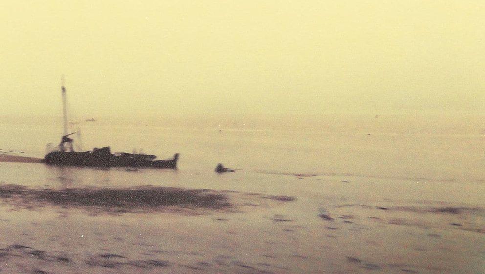 40 Watt Sun PERFECT LIGHT