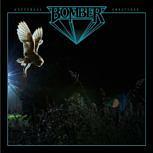 Bomber NOCTURNAL CREATURES