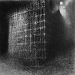 Qaalm RESILIENCE & DESPAIR