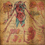 Nekrogoblikon THE FUNDAMENTAL SLIMES AND HUMOURS