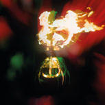 Arthur Brown LONG LONG ROAD