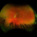 Greg Puciato MIRRORCELL